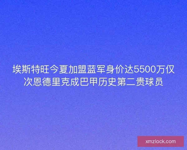 埃斯特旺今夏加盟蓝军身价达5500万仅次恩德里克成巴甲历史第二贵球员
