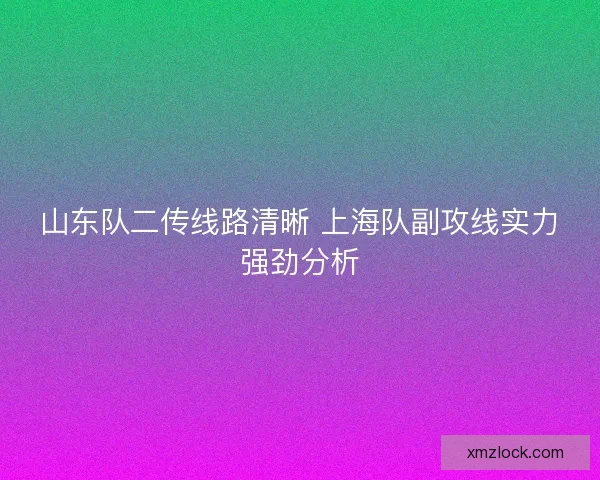 山东队二传线路清晰 上海队副攻线实力强劲分析